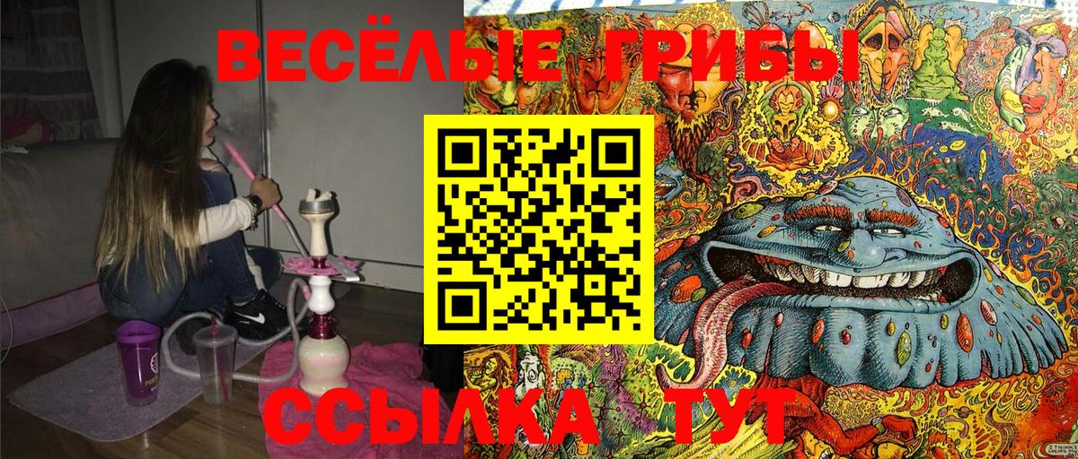 Псилоцибиновые грибы Psilocybine cubensis  Вход с VPN  Сатка  Псилоцибиновые грибы MAGIC MUSHROOMS 
